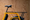 Image to render