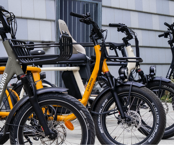 Elwing - La liberté en mouvement