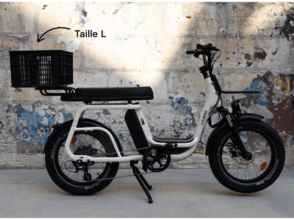 Caisse Basil MIK - Taille S ou L - ElwingS