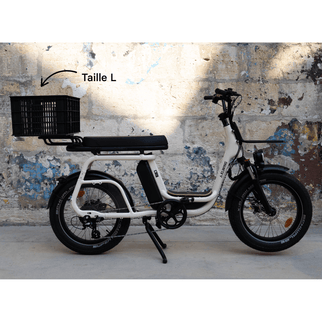 Caisse Basil MIK - Taille S ou L - ElwingS