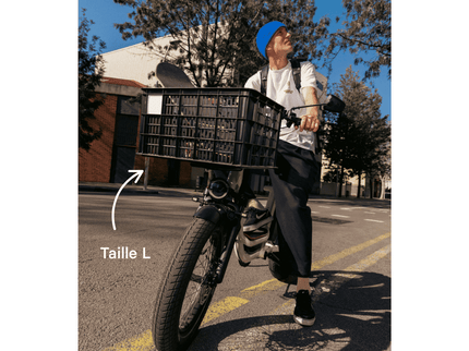 Caisse Basil MIK - Taille S ou L - ElwingS