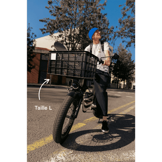 Caisse Basil MIK - Taille S ou L - ElwingS