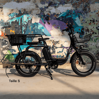 Caisse Basil MIK - Taille S ou L - ElwingS