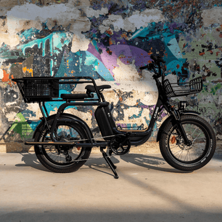 Caisse Basil MIK - Taille S - Elwing