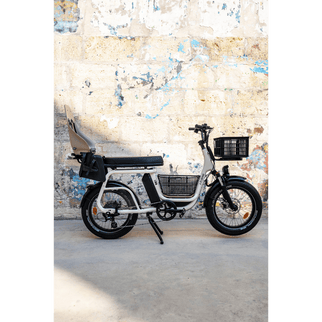 Caisse Basil MIK - Taille S - Elwing