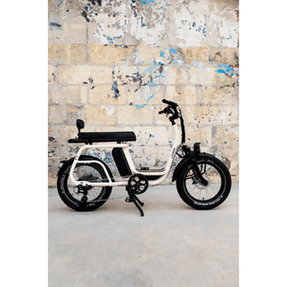 Dossier passager - Elwing