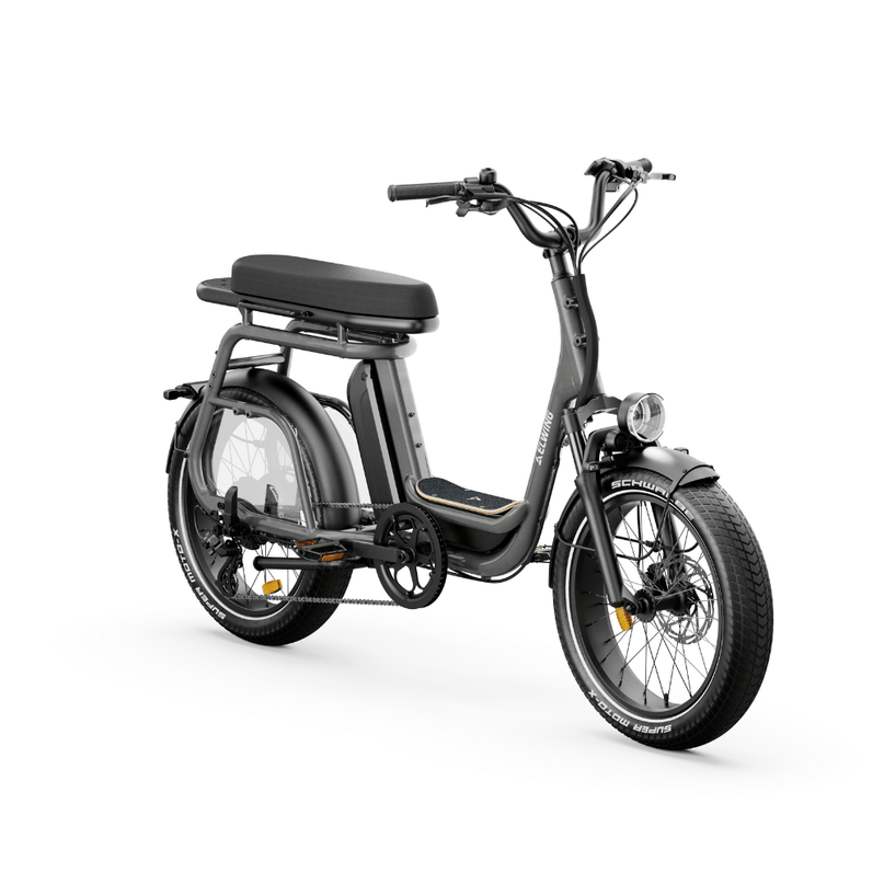 Ritmic Duo - vélo électrique cargo biplace - ElwingStandardGris charbon