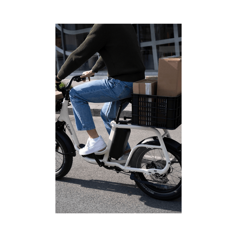 Ritmic Solo - vélo électrique cargo compact - ElwingStandardGris charbon